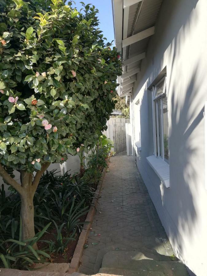 Willow Guest House ボックスバーグ エクステリア 写真